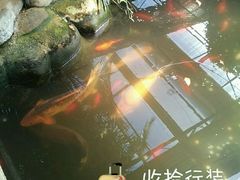 -北戴河集发农业梦想王国