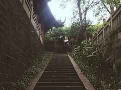 春天-石经寺