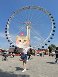-飞览天下沉浸式飞行体验(北京旗舰店)