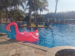 -三亚海棠湾万丽度假酒店