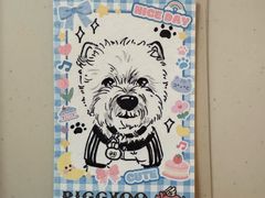 -PIGGYOO人生四格漫画店(朝外店)
