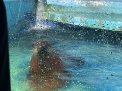 -太平洋海底世界