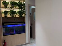 -智慧盲人按摩艾灸-颈肩腰膝疼痛调理(浦东店)