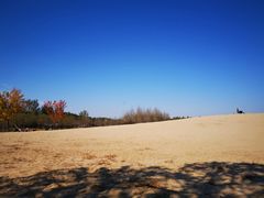 -东郊湿地公园