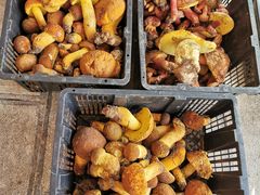 -双喜农庄·菌香园(安居家园店)