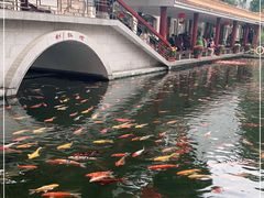 -番禺宾馆丽苑厅