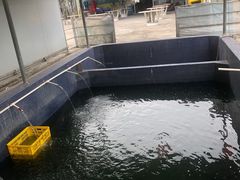 -鸿渡渔庄·特色鸭咀鱼