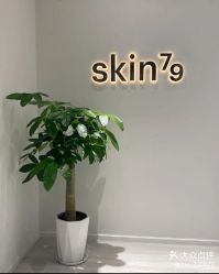 点击看大图 -SKIN79皮肤管理中心