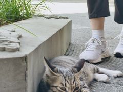 -香积寺