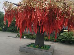 -淹城春秋乐园