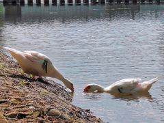 -楠溪江风景名胜区