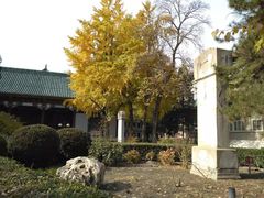 -国家图书馆·古籍馆