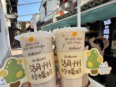 -猫的魔法密林(衣裳街店)