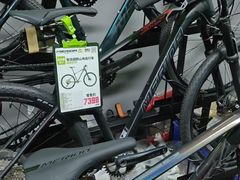 -道路口单车爱瓦士dahon大行