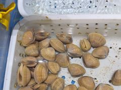 -四季厨房 鲁菜·孔府烤鸭(高新万达店)