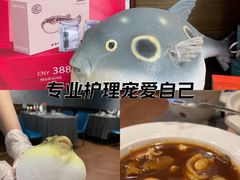 -肆月河豚·新淮扬(金融街店)