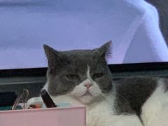 -东椰·海南椰子鸡火锅(朝阳门店)