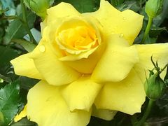 -人民公园(罗湖区)