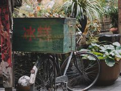 门面-青城甲(青城山店)