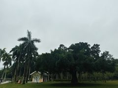-南宁南湖公园