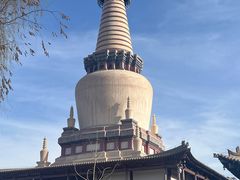 -张掖大佛寺景区