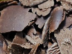 -GANSO元祖食品(白下店)