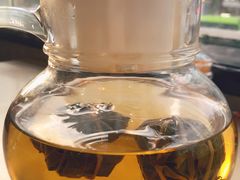 -墨脱石锅椰子鸡•香草鸭•东山羊(大东海店)