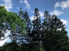 -人民公园(罗湖区)