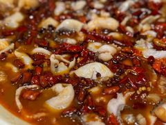 -青花椒花椒鱼(合生汇店)