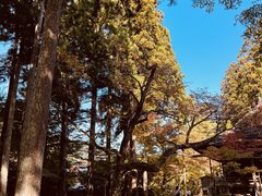-三千院