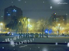 -凤凰中心