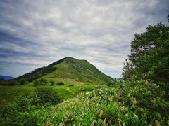 -秦岭风景区