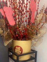 -苑苑vbeauty科技美容SPA