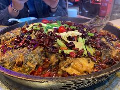 -老板恋上鱼(恒隆广场店)