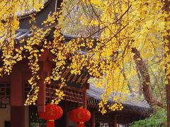 -郑和公园
