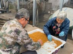 -苏州市吴中区光福窑上花果蜜饯厂