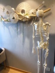 -小林日式·小颜整骨院