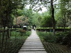 -唐城墙遗址公园