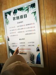 -小蜜蜂农场(凯德七宝购物广场店)
