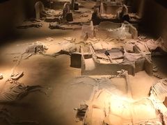 -洛阳周王城天子驾六博物馆