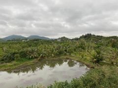 -沙美村