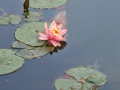 -三里河公园