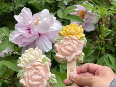 -洛阳市隋唐城遗址植物园