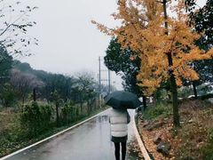 -玉女潭景区
