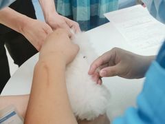 -美联众合24小时·皮肤科·外科·全科诊疗中心(华苑分院)