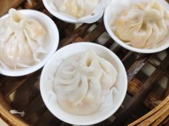 -莱莱小笼·乔艾