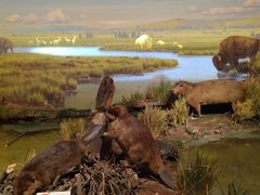 -陕西自然博物馆