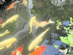 -聚福宝合苑食府(南头镇店)