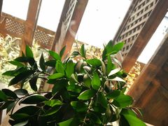 -慢丽江·云南野生菌土鸡锅(付家庄店)