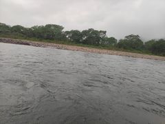 -九曲溪竹筏码头